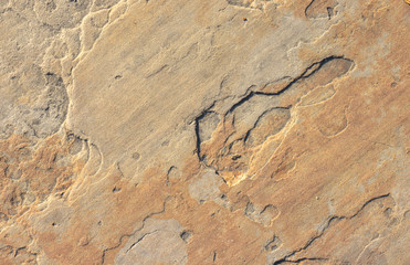 Stone background texture background natural stone close-up