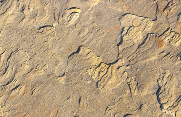 Stone background texture background natural stone close-up