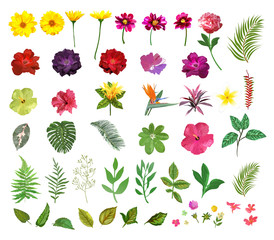 Floral set. Collection with isolated colorful hand drawn garden 