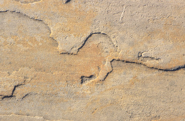 Stone background texture background natural stone close-up