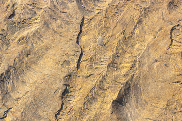 Stone background texture background natural stone close-up
