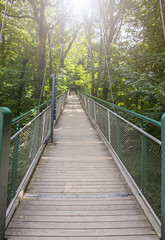 Fototapeta na wymiar Bridge across a public park