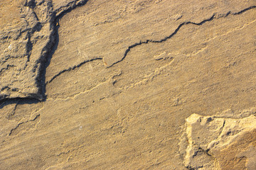 Stone background texture background natural stone close-up