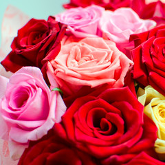 A bouquet of red roses, close-up. Square.