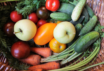 summer vegetables in the basket / close up