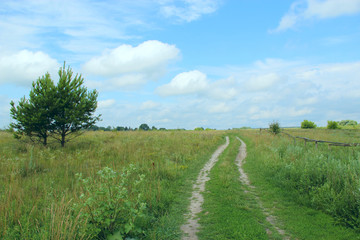Fototapeta na wymiar Country road with field of green grass. Summer landscape