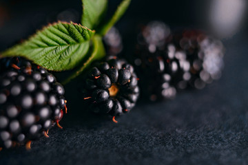 BlackBerry on a dark background with a green leaf