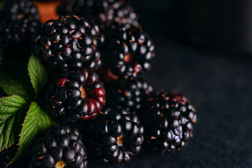 BlackBerry on a dark background with a green leaf