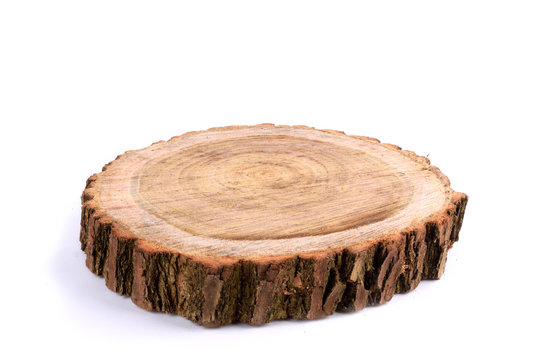  Detailed piece of circular flat cut wood showing annual rings, cracks, bark and texture Slice an oak tree like a wooden plate grove tree trunk showing  isolated on white background.