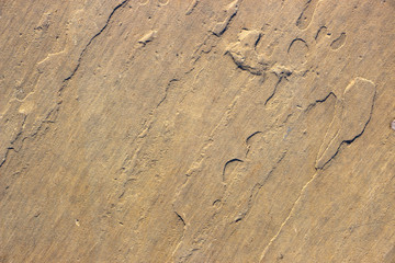 Stone background texture background natural stone close-up