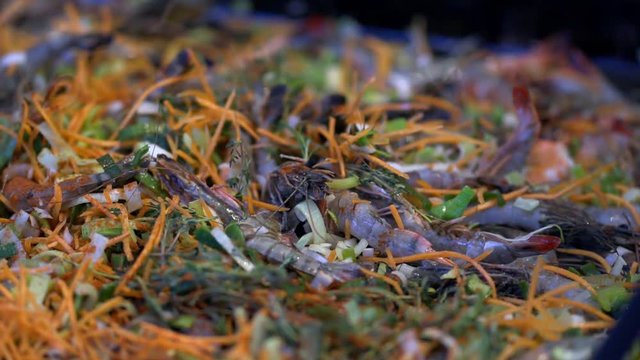 Cooking seasoned shrimp for chipotle shrimp tacos. Shrimp with parsley and lime in a frying pan cook mixes, closeup