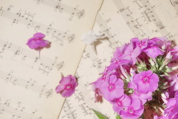 Music for the soul. two leaves with score notes and a bouquet of Phlox pink and white flowers.