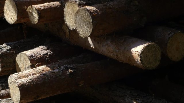 Lumber drying at the frash air