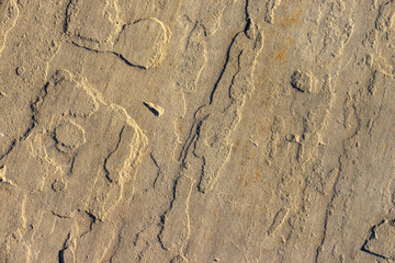 Stone background texture background natural stone close-up
