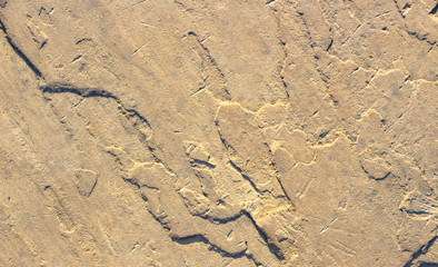 Stone background texture background natural stone close-up