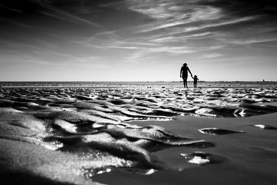 17 694 Best Accompany Images Stock Photos Vectors Adobe Stock