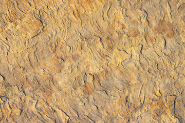 Stone background texture background natural stone close-up