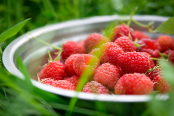 Pink fresh raspberries in an iron vessel in the garden on the background of green grass Berry Fruit Sadovina Healthy Food hack close up