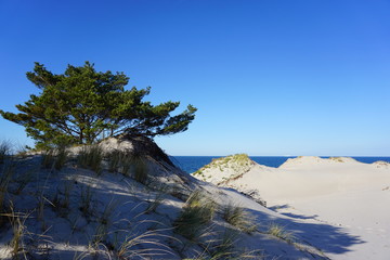 morze bałtyk sea baltic poland jurata hel