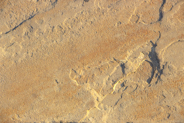 Stone background texture background natural stone close-up