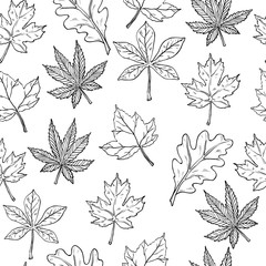 Sketch with autumn leaves. Seamless pattern. Vector illustration. Black and white