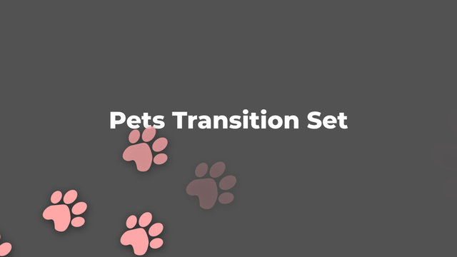 Pet Transitions