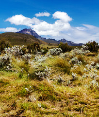 Fototapeta na wymiar Mountain peak and hills across a grass field with flowers and blue sky