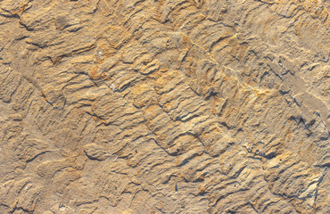 Stone background texture background natural stone close-up