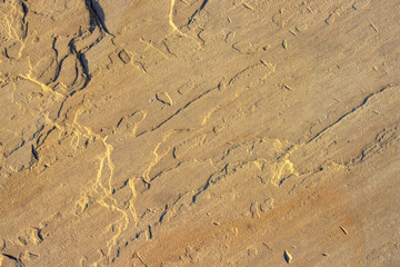 Stone background texture background natural stone close-up