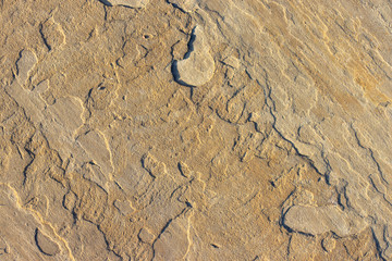 Stone background texture background natural stone close-up