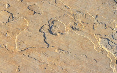 Stone background texture background natural stone close-up