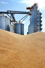 External construction, storage and drying of grain, wheat, corn, soybeans on the background of...