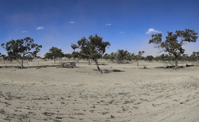 Fototapeta na wymiar Impact of the drought on the landscape in western New South Wales, Australia