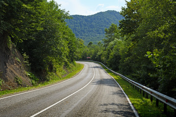 Road in green mountain forest