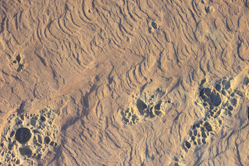 Stone background texture background natural stone close-up