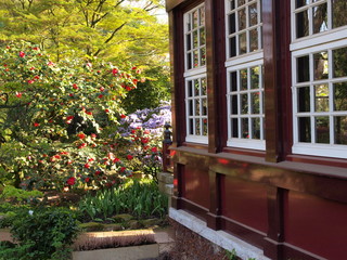 Fototapeta na wymiar japanischer Garten