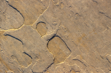 Stone background texture background natural stone close-up