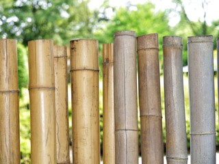 dekorative Bambusröhren