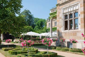 Castle on the Elbe River. Dresden. A magnificent park in English style and a rose garden. A place...