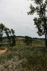 Sleeping Bear Dunes in Northern Michigan