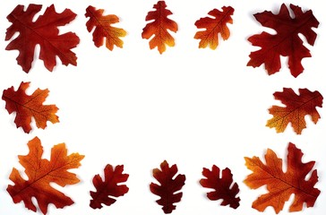 Fototapeta premium Close up of colorful autumn leaves on a white background and copy space.