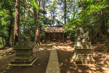 春の四街道の高龗神社の風景