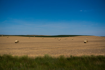 Fototapeta premium Hayfiled