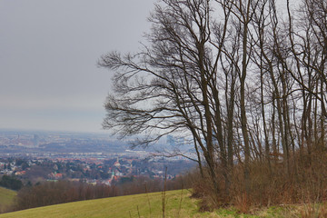 Obraz premium Vienna from above