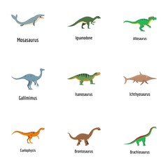 View of lizard icons set. Cartoon set of 9 view of lizard vector icons for web isolated on white background