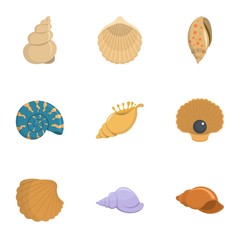 Conch icons set. Cartoon set of 9 conch vector icons for web isolated on white background