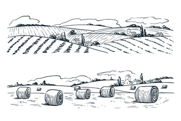 Farming fields landscape, vector sketch illustration. Agriculture and harvesting vintage background. Rural nature view © Qualit Design