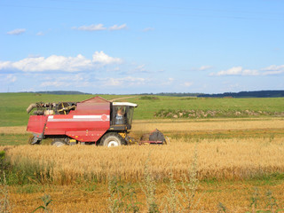 Obraz premium Combine harvester at work in summertime