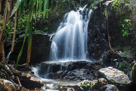 Ton Sai waterfall,in the forest ,Island Phuket , Thailand © Stock.Foto.Touch