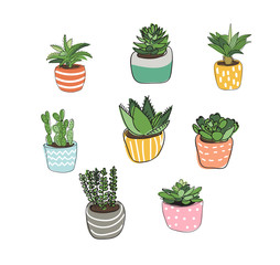 potted plants collection. succulents and house plants. hand drawn vector art.  Set of house indoor plant vector cartoon doodle.